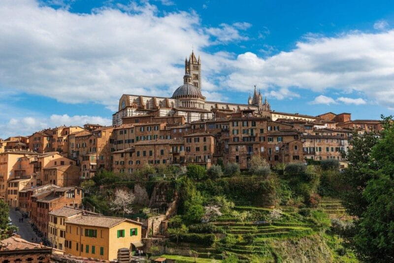 Siena: Private City Highlights Walking Tour - Who Is This Tour Best For?
