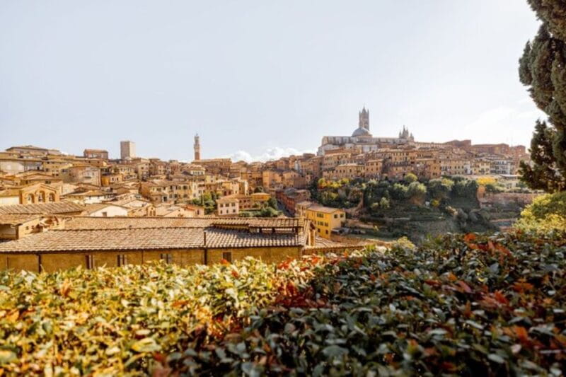 Siena: Private Custom Tour with a Local Guide - The Walking Experience: Pros and Cons