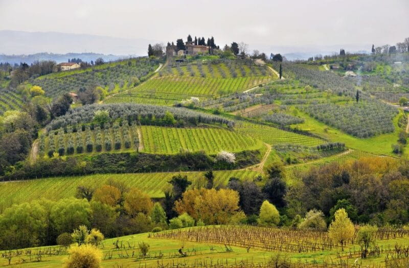 Siena: Small Group Cooking Class in Chianti Farmhouse - Price and Logistics: Is It Good Value?