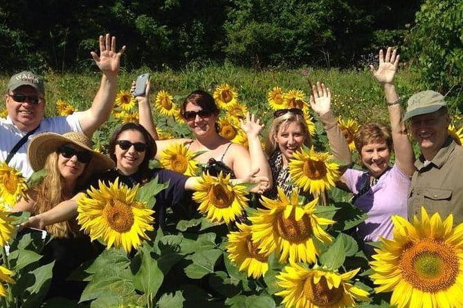 Siena & Tuscany - A Detailed Look at the Siena & Tuscany Tour