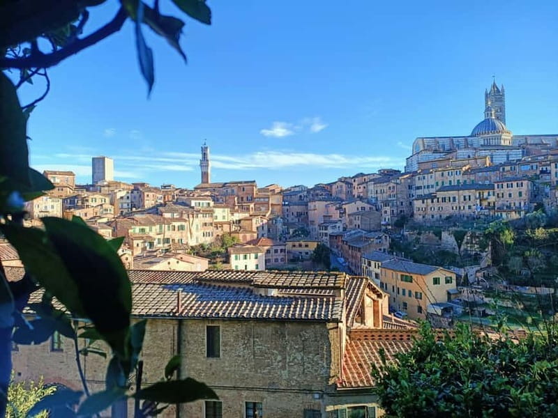 Siena walking tour with lunch & Chianti wine - Price, Logistics, and Overall Value