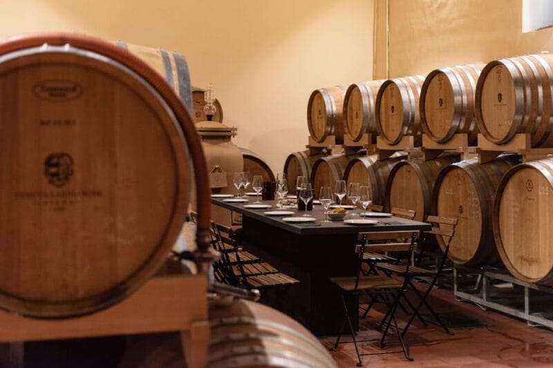 Siena: Winery tour/tasting with owner/maker of awarded wines - Key Points / Takeaways