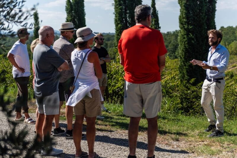 Siena: Winery tour/tasting with owner/maker of awarded wines - A Closer Look at the Experience