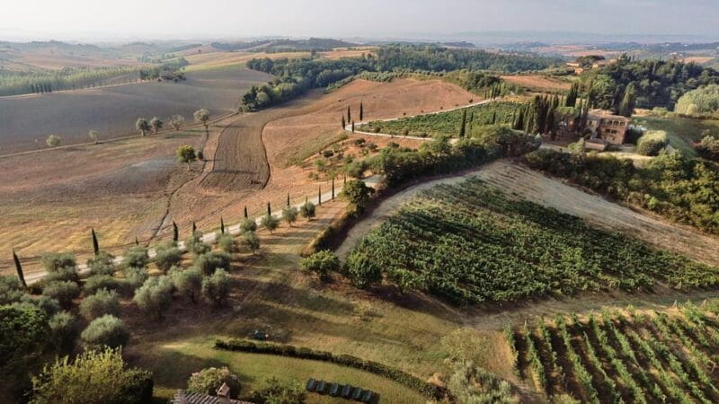 Siena: Winery tour/tasting with owner/maker of awarded wines - Final Thoughts
