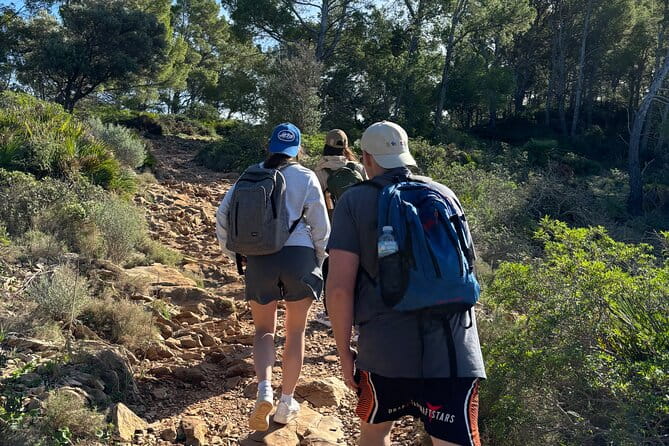 Sierra de Tramuntana hike with transportation and small picnic - The Beautiful Mountains of Mallorca: An Authentic Hike