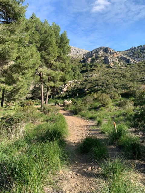 Sierra De Tramuntana Hiking Experience - Participant Requirements