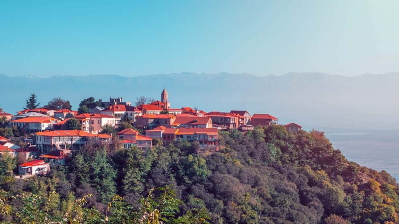 Sighnaghi and Bodbe Wine Tasting private tour: From Tbilisi - Who This Tour Suits Best