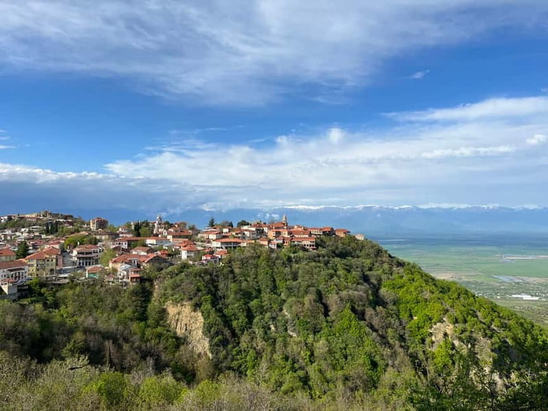 Sighnaghi Day Trip with wine tasting and Bodbe Monastery - Key points / Takeaways