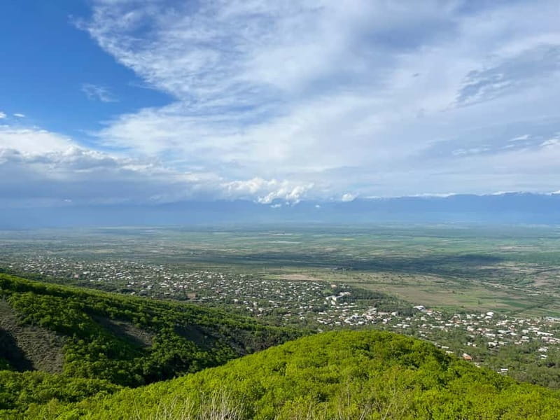 Sighnaghi Day Trip with wine tasting and Bodbe Monastery - Who is this tour best suited for?