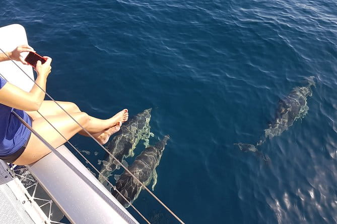 Sighting Dolphin Trip Estepona, Marbella - Discovering the Experience in Detail