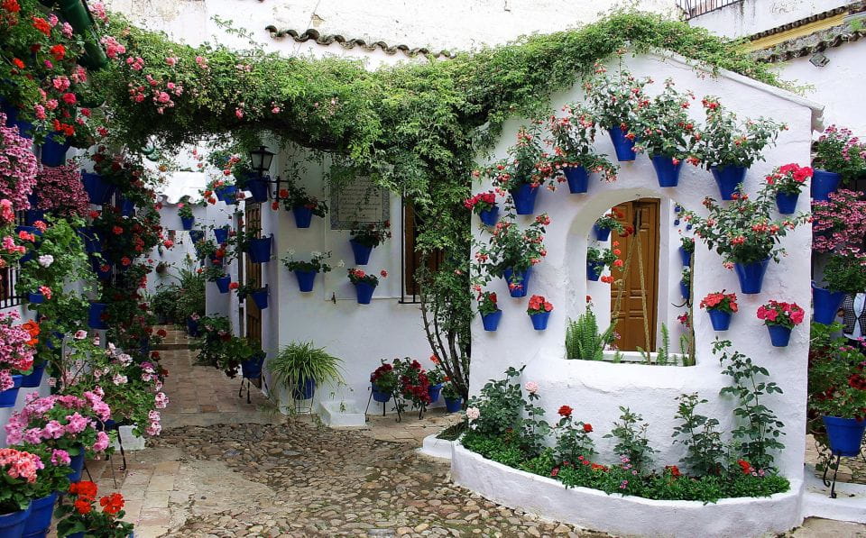Sights, Sounds, and Scents of Córdobas Patios - Itinerary Highlights