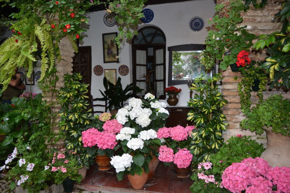 Sights, Sounds, and Scents of Córdobas Patios - Unique Patio Features