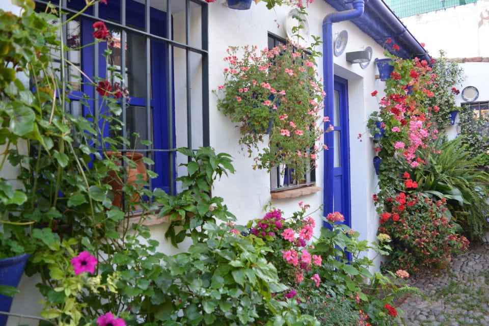 Sights, Sounds, and Scents of Córdobas Patios - The Beauty of Competition