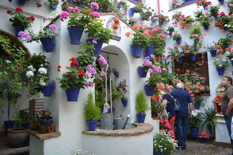 Sights, Sounds, and Scents of Córdobas Patios - Things To Know