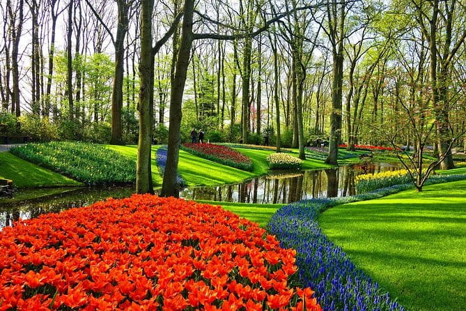 Sightseeing Keukenhof Tulip fields, Giethoorn tour from Amsterdam - Key points / Takeaways