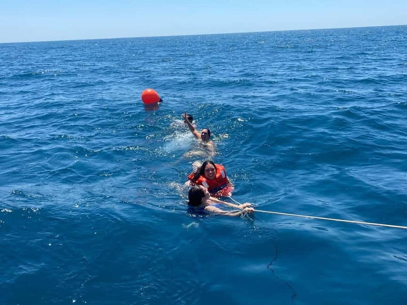 Sightseeing Sailing And Swim - FAQ: Your Questions Answered