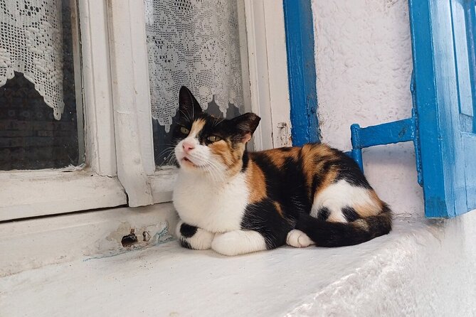 Sightseeing With a Mykonian - Flexible Cancellation Policy