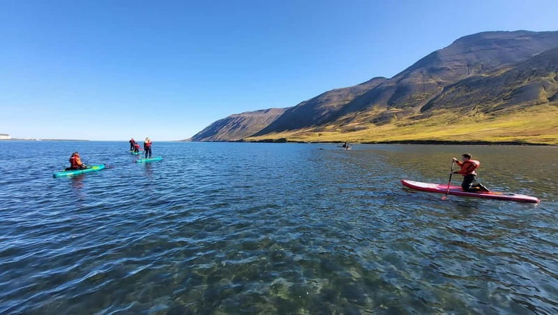 Siglufjörður: Private Guided SUP Tour - Who Will Love This Tour?
