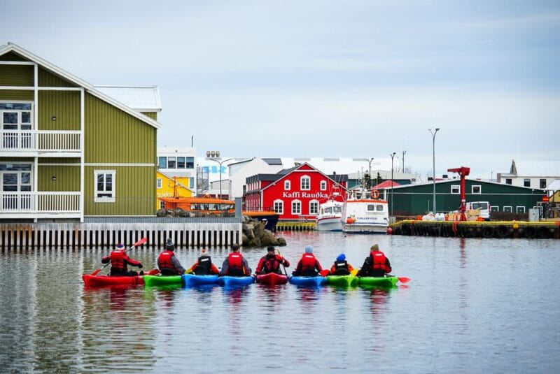 Siglufjörður / Siglufjordur: Guided kayak tour. - Who Will Love This Tour?