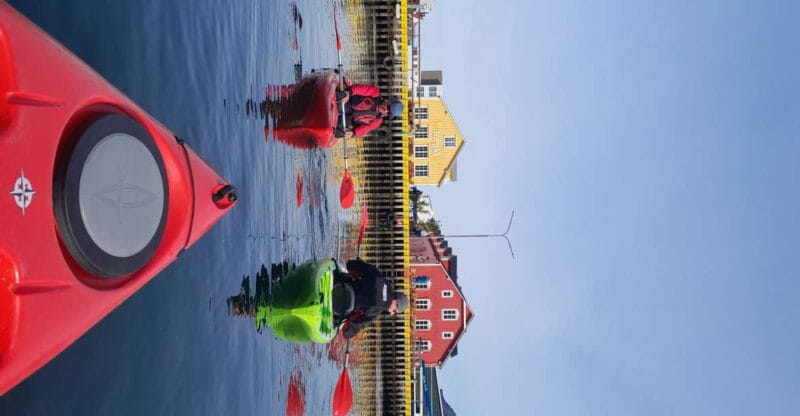 Siglufjörður / Siglufjordur: Guided kayak tour. - Additional Practical Tips