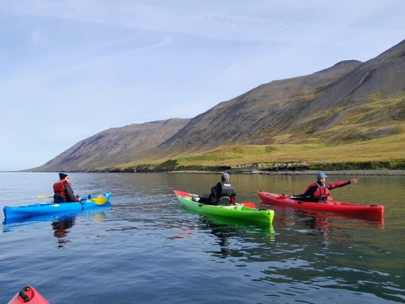 Siglufjörður / Siglufjordur: Guided kayak tour. - Frequently Asked Questions