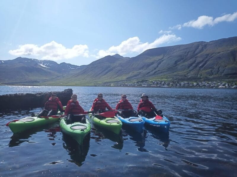 Siglufjörður / Siglufjordur: Private Guided kayak tour. - Customizing Your Fjord Adventure