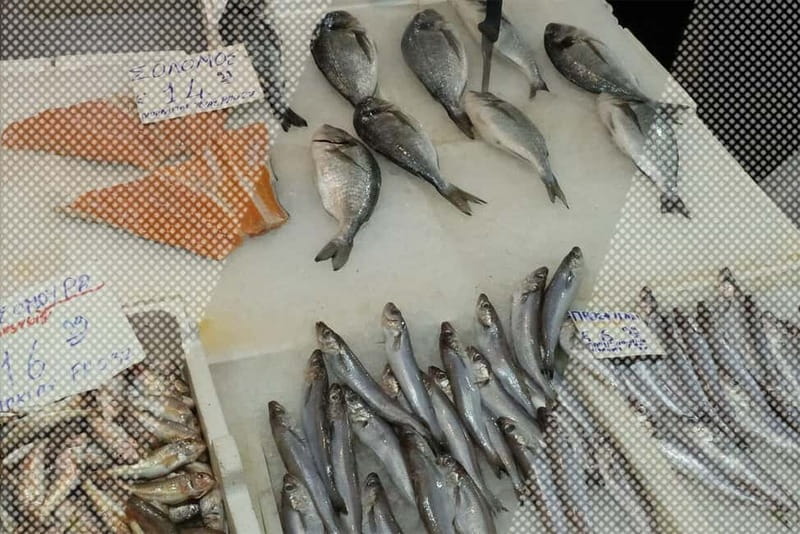 Signature Morning Walking Food Tour in Athens - Key Points / Takeaways