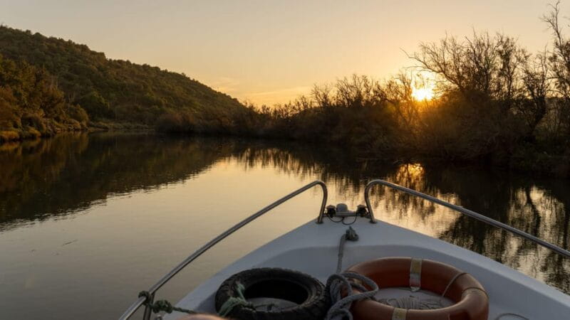 Silves History & Nature Boat Tour on the Arade River - Who Will Find This Tour Most Valuable?