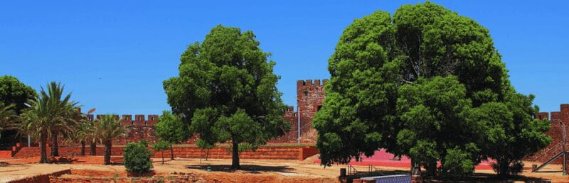 Silves History & Nature Boat Tour on the Arade River - Who Is This Tour Best For?