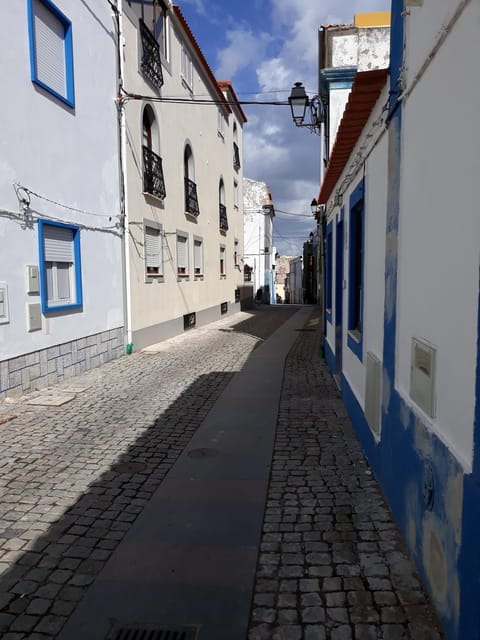 Sines: Tour of the historic center, museum & castle of Sines - Who This Tour Is Perfect For