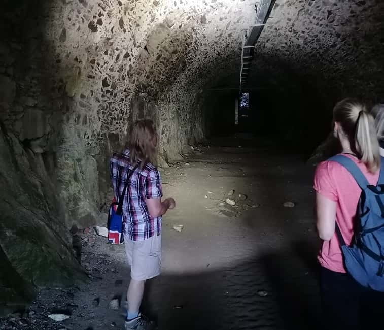 Singen: Guided tour of the Hohentwiel fortress ruins with a castle researcher - Who Is This Tour Best For?
