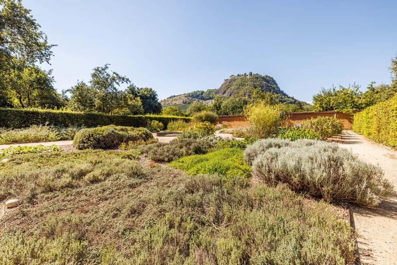 Singing: Guided herb tour "Wild herbs on the banks of the Aa" - Exploring the Guided Herb Tour "Wild Herbs on the Banks of the Aa"