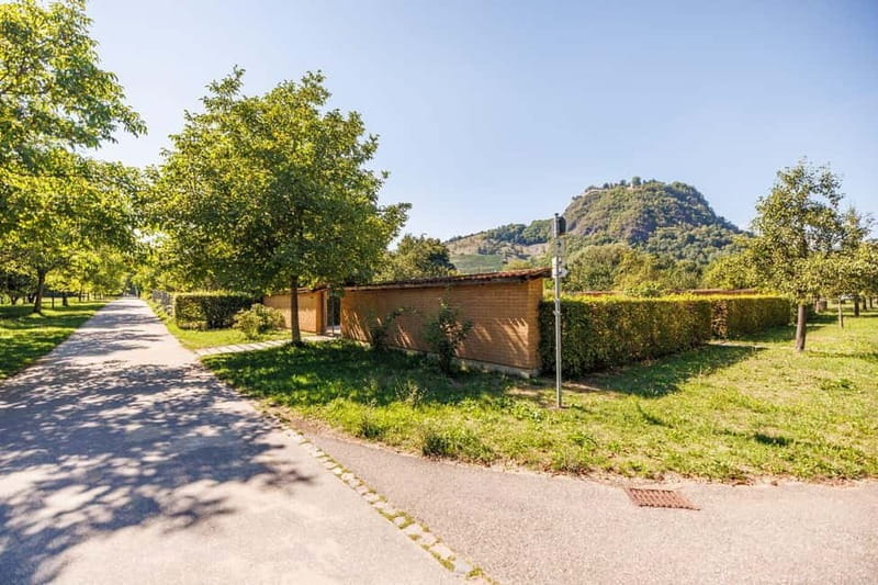 Singing: Guided herb tour "Wild herbs on the banks of the Aa" - Key Points / Takeaways