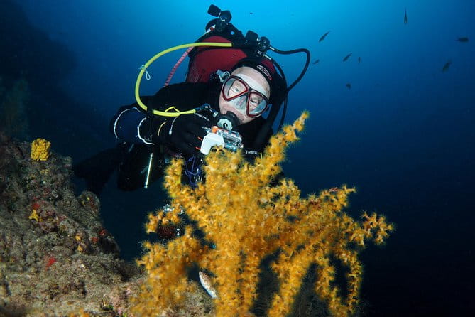 Single Dive for qualified divers from shore, region Puerto del Carmen. - Final thoughts