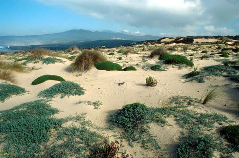 Sintra Cascais Top trekking - Logistics and Practicalities