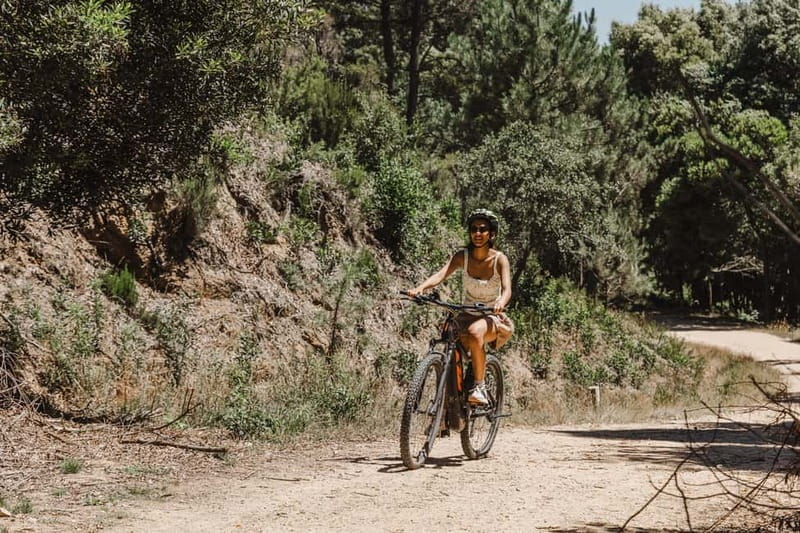 Sintra: E-bike tours of the incredible landscapes - Key Points / Takeaways