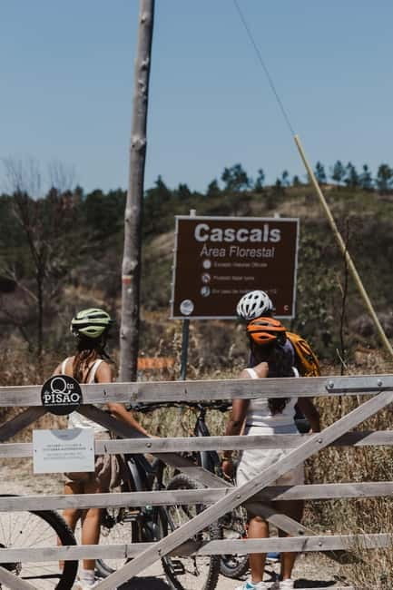 Sintra: E-bike tours of the incredible landscapes - Final Thoughts: Is It Worth It?