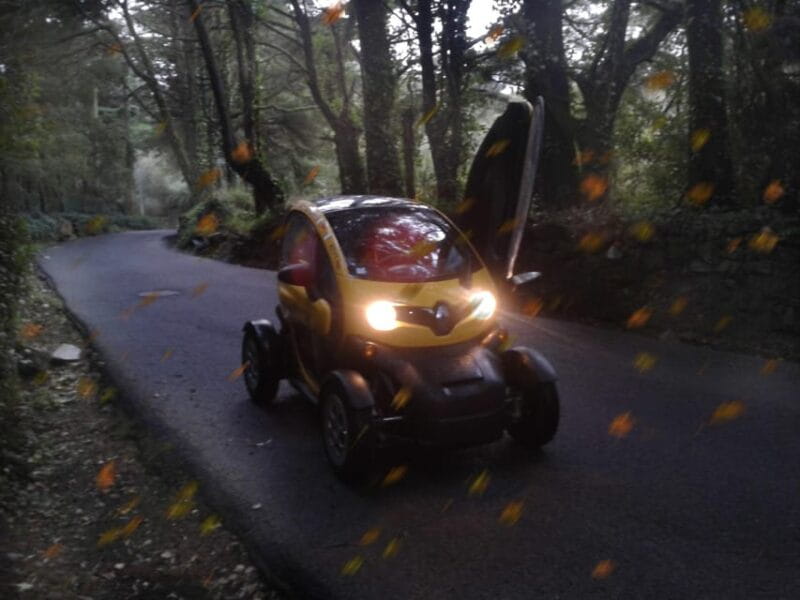 Sintra: Heritage, Gardens & Nature Tour E-Car GPS AudioGuide - Price and Logistics: What You’re Getting for $65