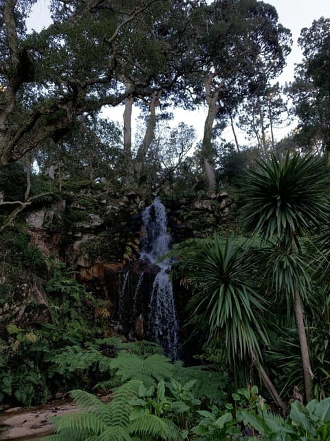 Sintra Highlights: Private Local Tour - Palaces & Views - Final Verdict: Why It’s a Worthwhile Choice
