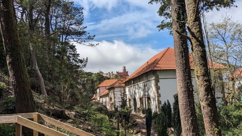 Sintra Hike: Past palaces and hidden paths. - Price, Logistics, and Practical Tips