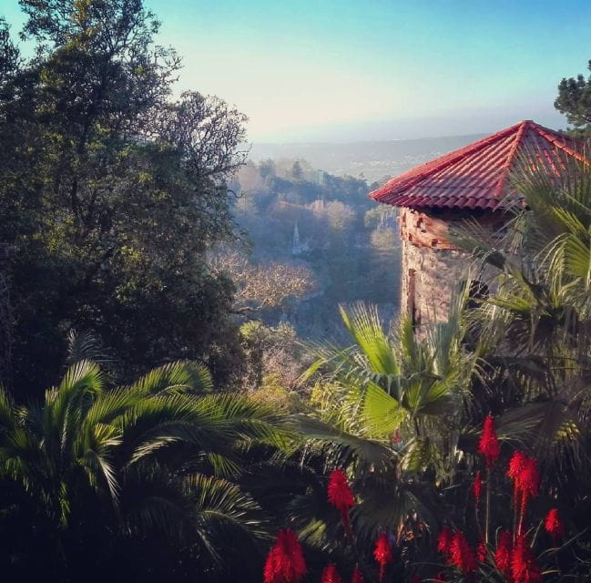 Sintra: Kingdom of Love Private Walking Tour With Historian - Participant Information