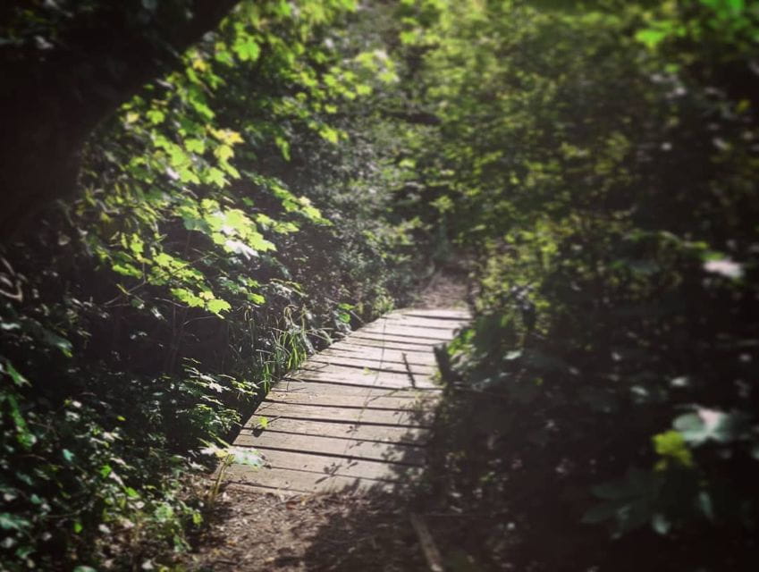 Sintra: Kingdom of Love Private Walking Tour With Historian - Cancellation Policy