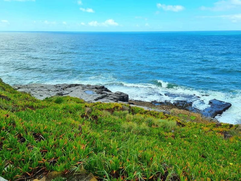 Sintra: Magoito Sunset and BBQ Tour - Sunset and Self-Serve BBQ: A Perfect Blend