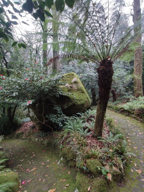 Sintra: Pena Palace and Gardens Guided Tour 4 H + Ticket - Booking Information