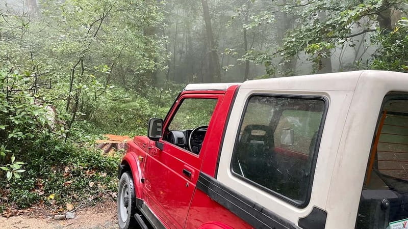 Sintra: Private Full-Day Sintra, Roca, and Cascais 4x4 Tour - Final Thoughts: Who Will Love This Tour?