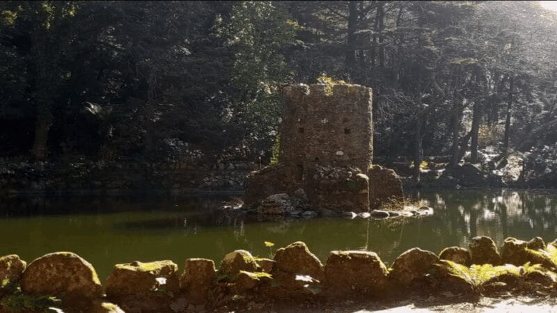 Sintra: Private Palaces, Moorish Castle, and Roca Cape Tour - Starting Point and Logistics