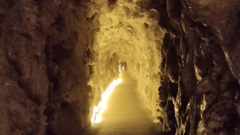 Sintra Private Tour w/Picnic: Pena Park & Qta da Regaleira - Entering the Magic of Sintra: A Classic Day Trip