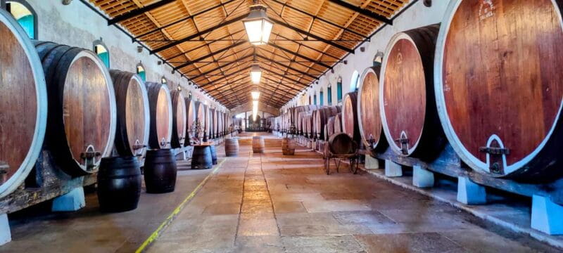 Sintra: Queluz Palace, Biester Palace, and Colares Winery - Exploring Sintra’s Palaces and Wineries: A Day of Elegance and Flavor