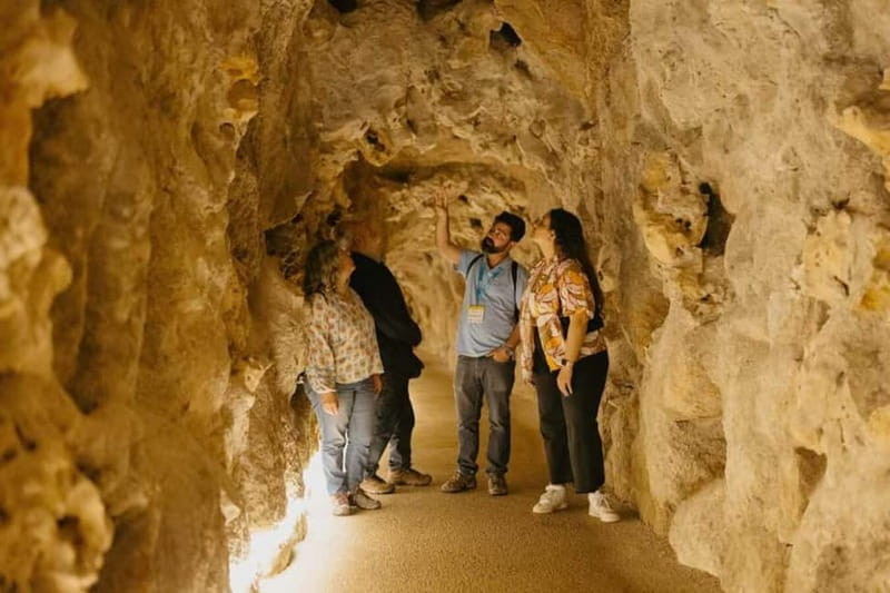 Sintra: Quinta da Regaleira Entry Ticket and Guided Tour - Exploring Sintra’s Mystical Palace and Gardens