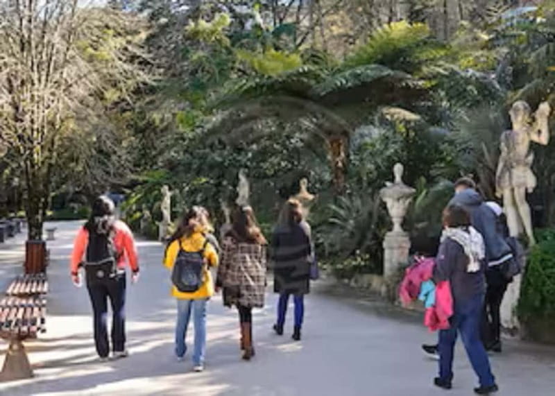 Sintra: Quinta da Regaleira Entry Ticket and Guided Tour - Who Will Love This Tour?
